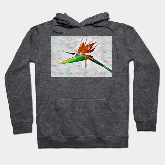 A Bird Of Paradise Bloom Hoodie by KirtTisdale